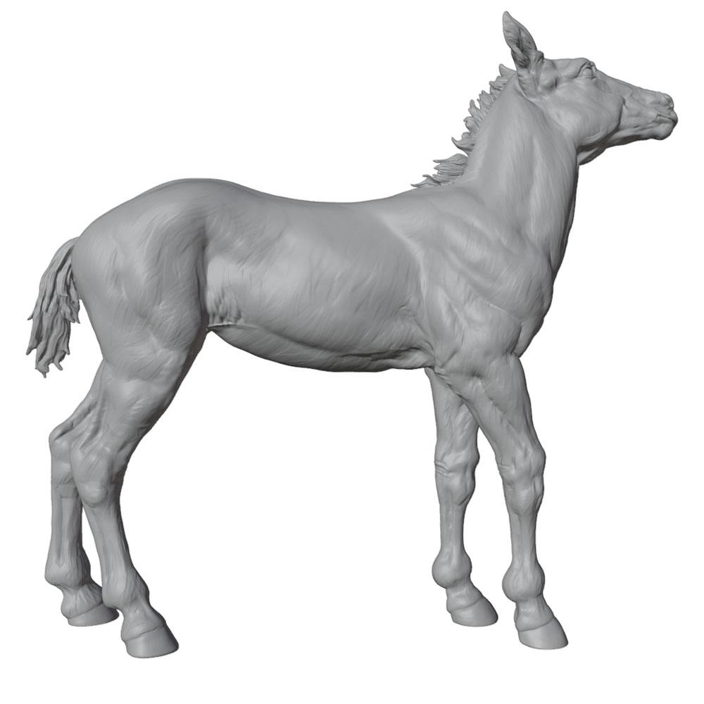 高精細プリント、リアルな馬のミニチュア樹脂製像、手作りモデル - 3D Printing Article のレビューと価格